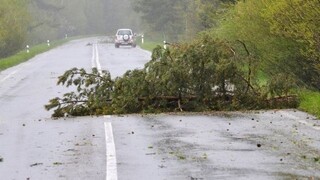 Silný vietor trápi viaceré miesta na Slovensku. Pribúda spadnutých stromov na ceste